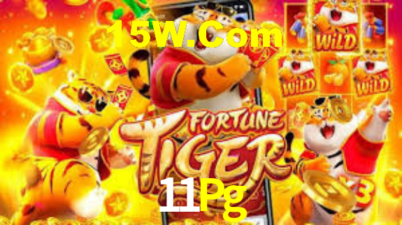11Pg