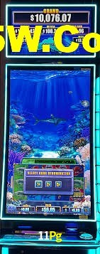 Live Casino 11Pg
